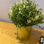 Sahara 3,5 Z Balkon Smart Tv Kueche Wama Duisburg