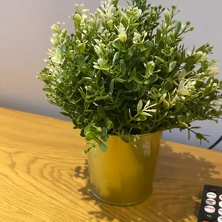 Sahara 3,5 Z Balkon Smart Tv Kueche Wama דיסבורג